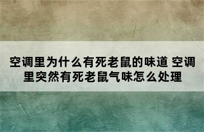 空调里为什么有死老鼠的味道 空调里突然有死老鼠气味怎么处理